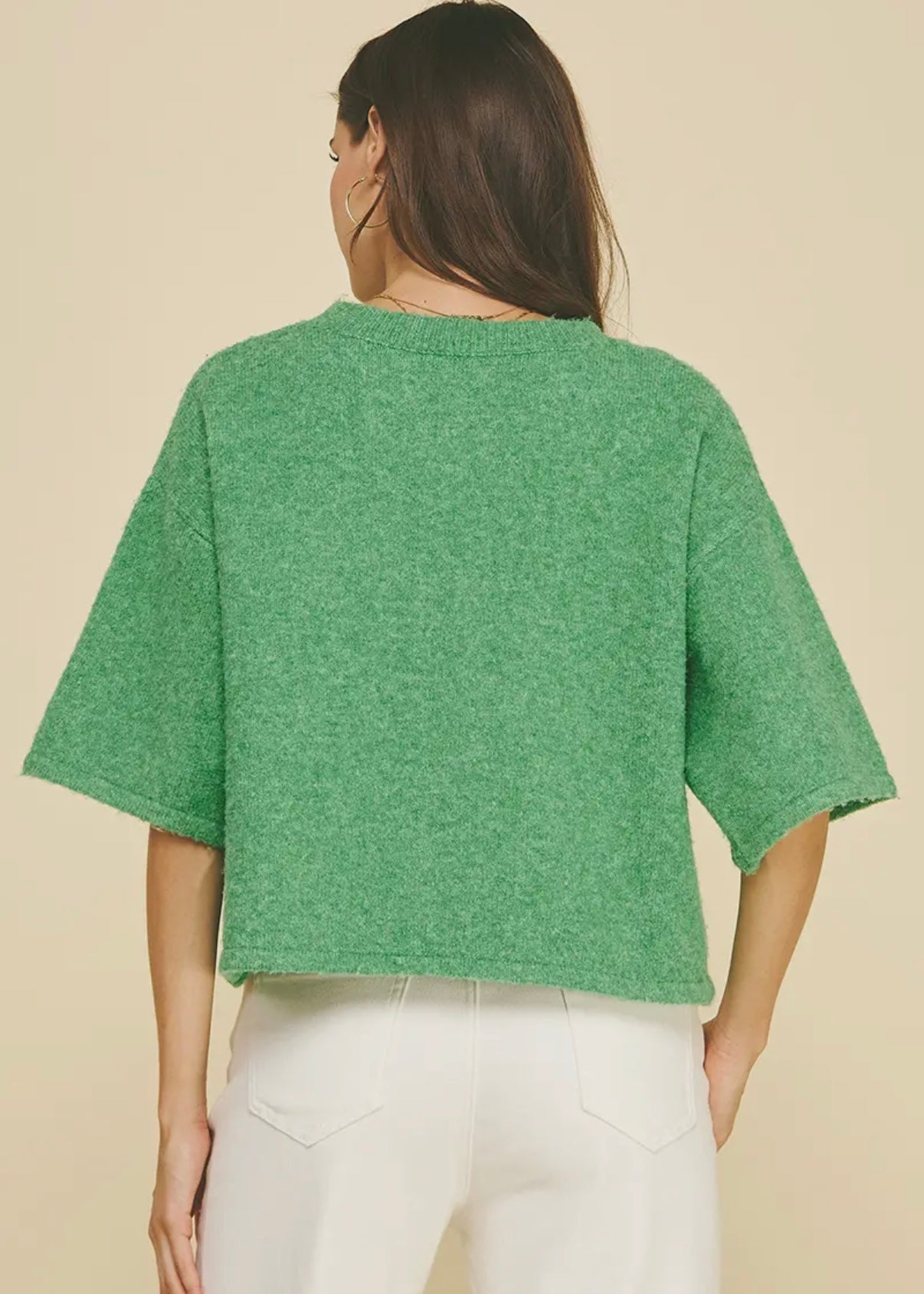 Button Down Short Sleeve Sweater - Green